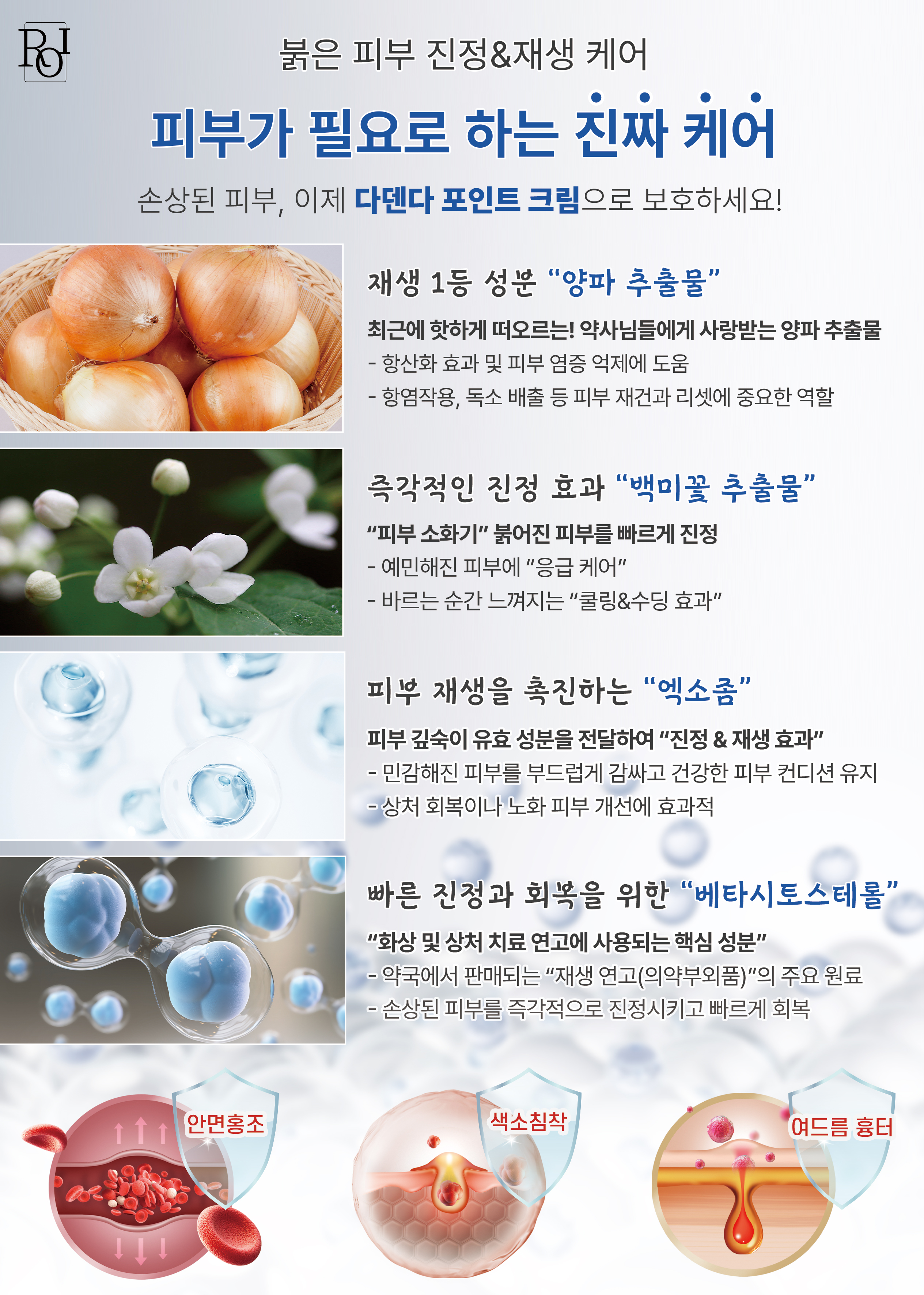 다덴다 포인트 크림 뒤